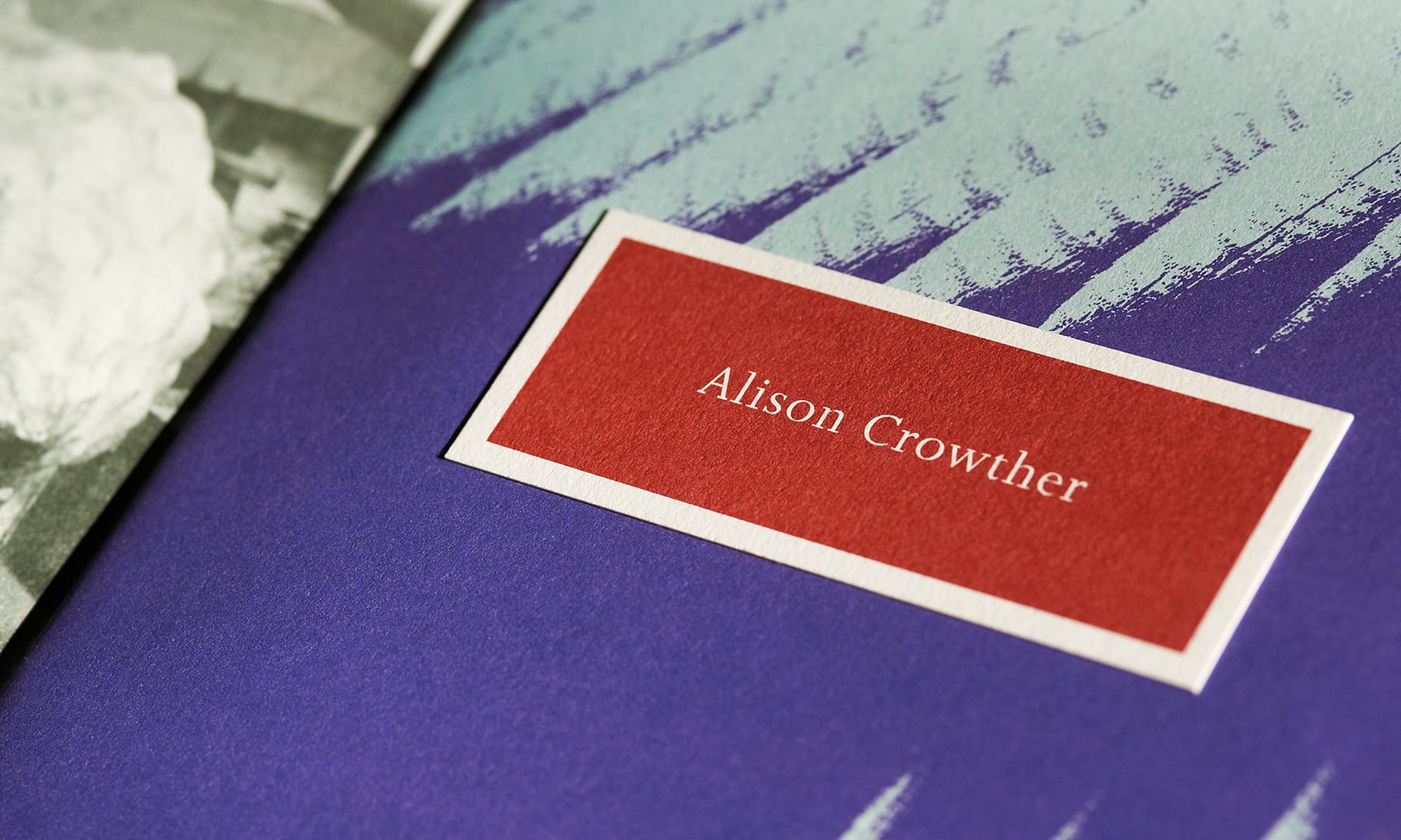 Alison Crowther Catalogue - closeup